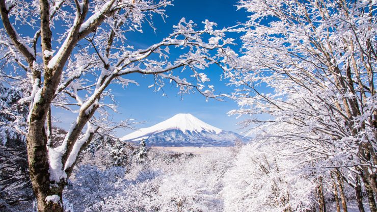 年末年始休業期間のお知らせ